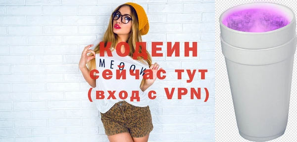 амф Дмитров