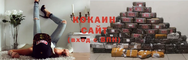 амф Дмитров